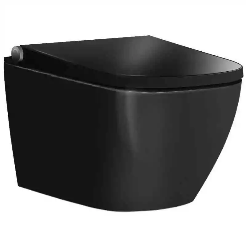 Dusch-WC Basic 1104 in Schwarz glänzend - mit Gesäß- und Ladydusche - Bernstein