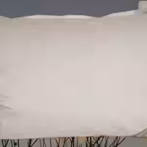 JAPAN Kissen Kopfkissen Daunenkissen 43x63cm 100% Daunen flauschig weich EAN:0785983362467