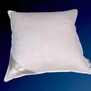 FRANCE Kissen Kopfkissen Federkissen 65x65 cm 15% Daunen strapazierfähig EAN:0785983362641