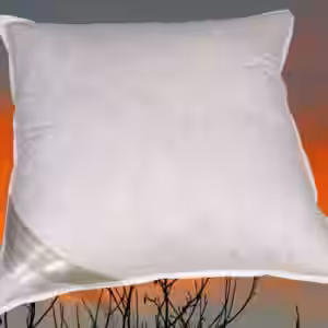 FRANCE Kissen Kopfkissen Daunenkissen 65x65 cm 100 % Daunen flauschig weich EAN:0785983362733