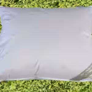 BENELUX Kissen Kopfkissen Federkissen 60x70 cm 30% Daunen strapazierfähig weich EAN:0785983362856