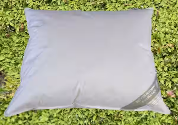 BENELUX Kissen Kopfkissen Federkissen 60x70 cm 30% Daunen strapazierfähig weich EAN:0785983362856