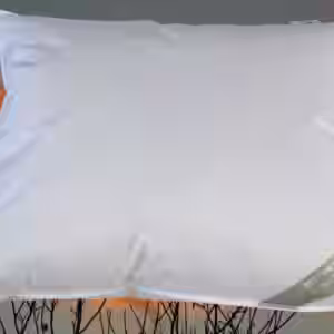 BENELUX Kissen Kopfkissen Daunenkissen 60x70 cm 100% Daunen flauschig weich EAN:0785983362917