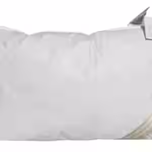 Bella Star Kopfkissen 40x60 Federkissen Kissen 20% Daunen 300 g strapazierfähig EAN:0791732643169