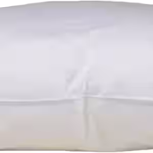 Bella Star Kopfkissen 50x60 Federkissen Kissen 20% Daunen 500 g strapazierfähig EAN:0791732643206